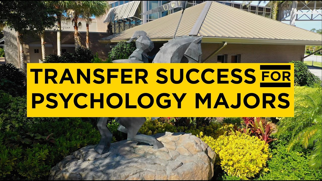 Transfer Success Psychology Majors