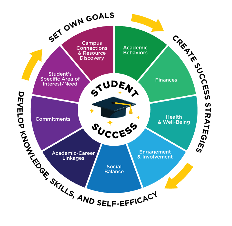What is Success Coaching circular graph